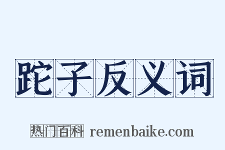 跎子反义词是什么意思的图片